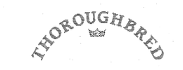 THOROUGHBRED trademark