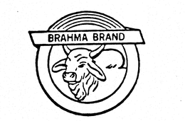 BRAHMA BRAND trademark