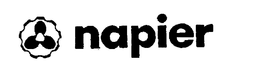 NAPIER trademark
