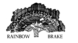 RAINBOW BRAKE trademark