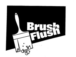 BRUSH FLUSH trademark