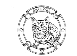 MTM trademark