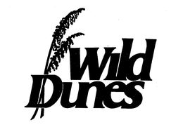 WILD DUNES trademark