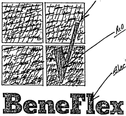 BENEFLEX trademark