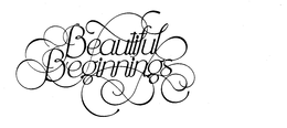BEAUTIFUL BEGINNINGS trademark