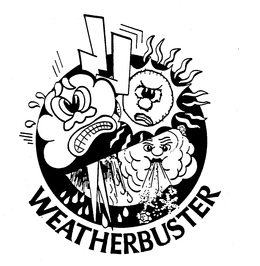 WEATHERBUSTER trademark