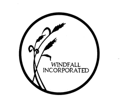WINDFALL INCORPORATED trademark