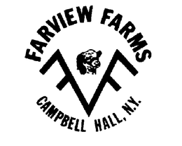 FARVIEW FARMS CAMPBELL HALL, N.Y. trademark