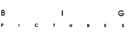 BIG PICTURES trademark
