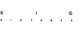 BIG PICTURES trademark