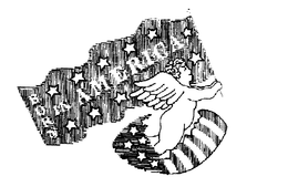 BORN IN AMERICA trademark