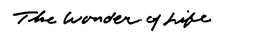 THE WONDER OF LIFE trademark