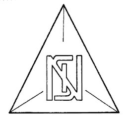 NSI trademark