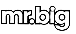 MR. BIG trademark