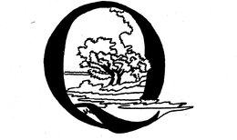 Q trademark