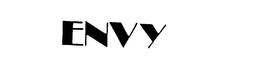 ENVY trademark