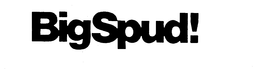 BIGSPUD! trademark