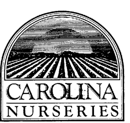 CAROLINA NURSERIES trademark