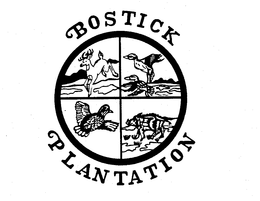 BOSTICK PLANTATION trademark