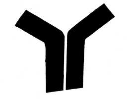 Y trademark