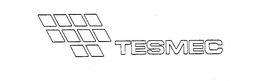 TESMEC trademark