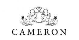 CAMERON trademark