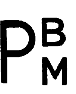 PBM trademark