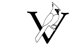 V trademark