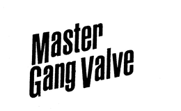 MASTER GANG VALVE trademark