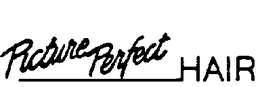 PICTURE PERFECT HAIR trademark
