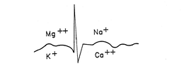 MG++ NA+ K+ CA++ trademark