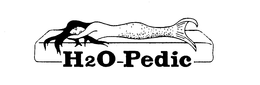 H20-PEDIC trademark