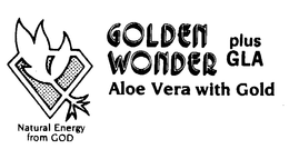 GOLDEN WONDER trademark