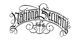 NATIONAL SECURITY SAFE CO. trademark