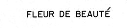 FLEUR DE BEAUTE trademark