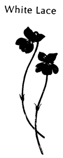 WHITE LACE trademark