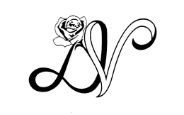 DV trademark