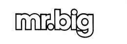 MR.BIG trademark