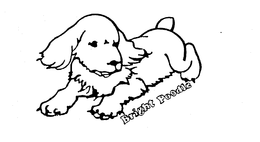 BRIGHT POODLE trademark