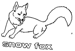SNOW FOX trademark