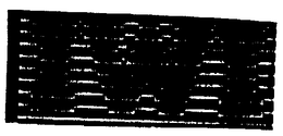 IWI trademark