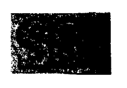 SSI trademark