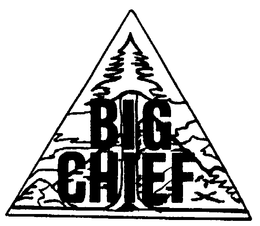 BIG CHIEF trademark