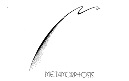 METAMORPHOSIS trademark