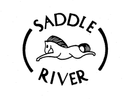 SADDLE RIVER trademark