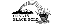 COAL IS BLACK GOLD trademark