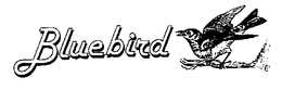 BLUEBIRD trademark