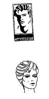ATTITUDE trademark
