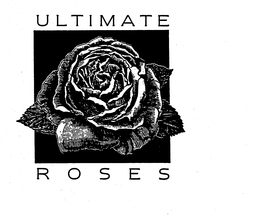 ULTIMATE ROSES trademark