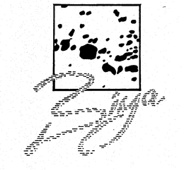 BIYA trademark